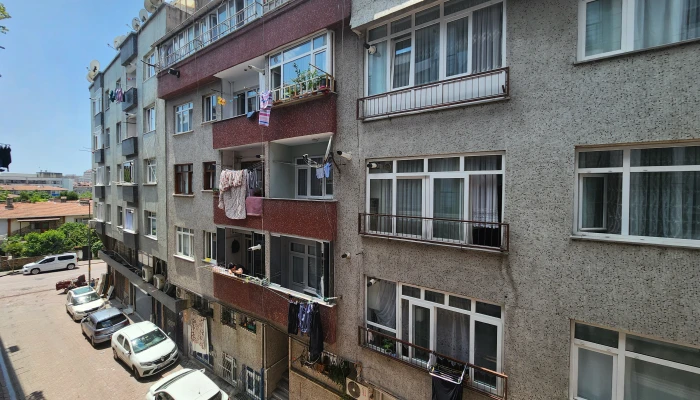 20250615_131603.jpg
